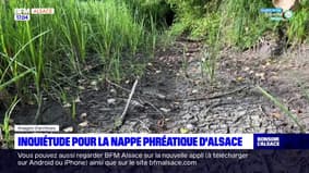 Alsace: après un été très sec, l'inquiétude règne pour la nappe phréatique 