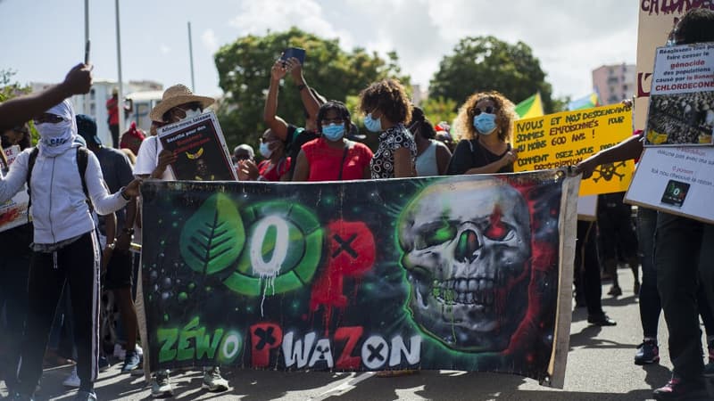 Chlordécone: des manifestants en Martinique dénoncent 