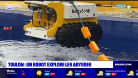 Toulon: le robot BathyBot explore les abysses