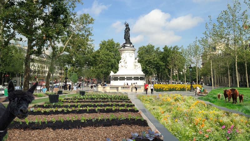 Des installations végétales vont être installées sur la place de la République en juin.