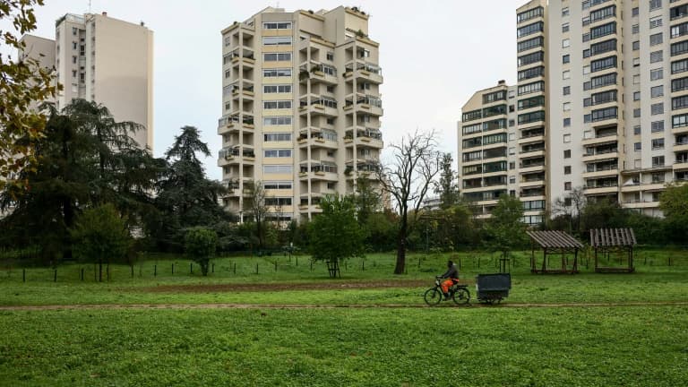Le quartier du Tonkin à Villeurbanne, près de Lyon, le 18 octobre 2024