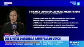 Saint-Paul-de-Vence: plusieurs routes coupées à cause, notamment, de chutes d'arbres