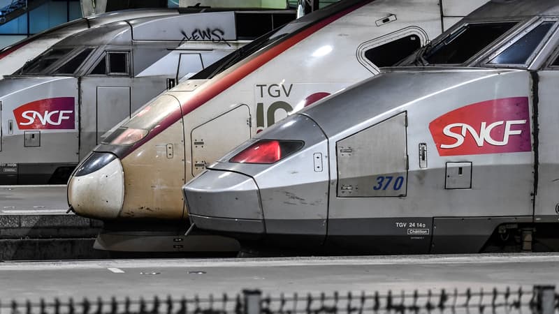 Le trafic ferroviaire a atteint "un plancher" avec notamment 42 TGV par jour sur environ 700 habituellement, indique la SNCF