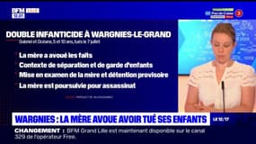 Enfants retrouvés morts noyés à Wargnies-le-Grand: la mère mise en examen pour assassinat