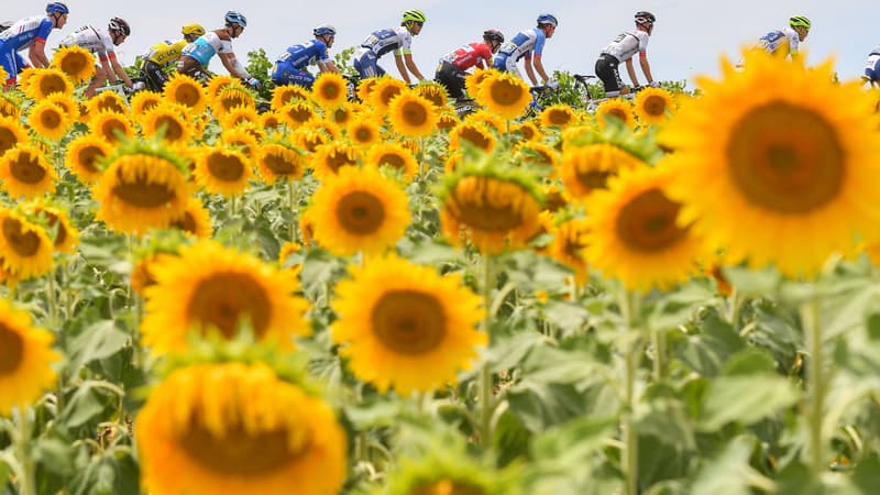 Peloton Tour de France