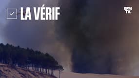 Fumées émanant des incendies à la Teste-de-Buch, en Gironde, le 18 juillet 2022
