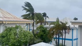 Le vent souffle en Guadeloupe, au passage de la tempête Ernesto.
