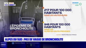 Les Alpes du Sud plutôt épargnées par la vague de cas de bronchiolite