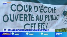 Strasbourg: six écoles ouvertes tout l'été pour profiter de la fraîcheur des cours