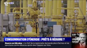 TotalEnergies, EDF et Engie appellent à réduire "immédiatement" notre consommation d'énergie