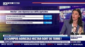 Audrey Bourolleau (Hectar) : Le campus agricole Hectar sort de terre ! - 06/05