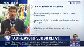 Yannick Jadot sur le CETA: "L'enjeu est de protéger notre modèle agricole"