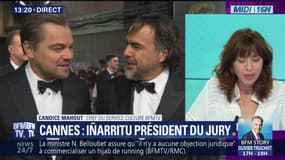 Cannes : Iñarritu choisi pour présider le jury