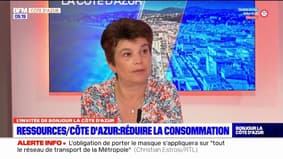 "Jusqu'à 27% de réduction": Nathalie Lazaric, directrice de recherche au CNRS à l'Université Côte d'Azur, livre les résultats d'une étude sur la consommation d'énergie