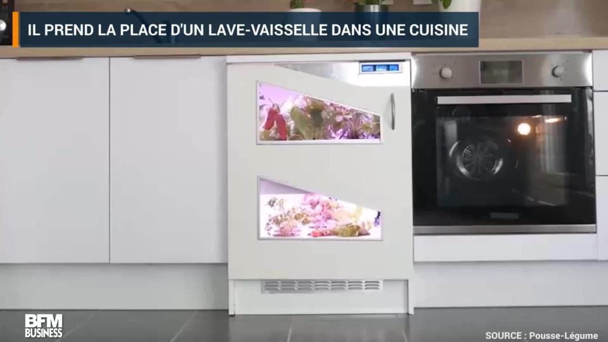 placeholder video