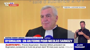 Affaire Bygmalion: Thierry Herzog, l'avocat de Nicolas Sarkozy, va faire appel sur demande de son client