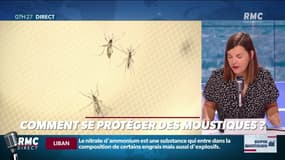 Comment débarrasser des moustiques? Le guide complet pour échapper à ces vilains vampires