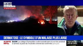 Dermatose bovine: "Il faut que la ministre nous trouve des solutions", assure Luc Smessaert, vice-président de la FNSEA