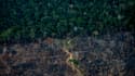 Cette photographie aérienne montre une zone de déforestation de l'Amazonie, le 15 septembre 2021. 
