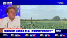 Sécheresse en Alsace: le conseiller irrigation à la chambre d'Agriculture assure que "les sols sont très secs" 