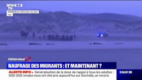 Naufrage d'un bateau de migrants: pour Didier Leschi, les passeurs sont des "assassins" qui se sont "professionnalisés dans leur travail terrible"