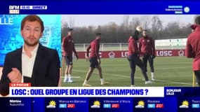 Ligue des champions: quels adversaires pour le LOSC ? 