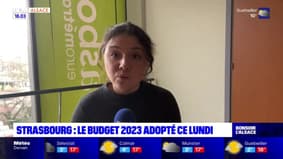 Strasbourg: retour sur l'adoption du budget 2023