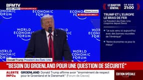 "Ce ne serait pas une menace pour l'OTAN" si les États-Unis rachètent le Groenland et Trump dénonce la manière dont les pays de l'Alliance traite Washington