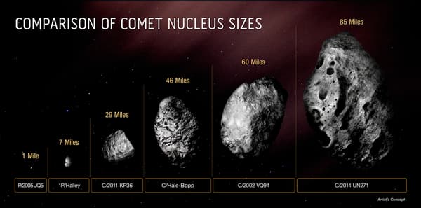 Comparaison des différentes comètes par tailles