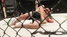 UFC : tout savoir sur le championnat de MMA qui crée l'événement