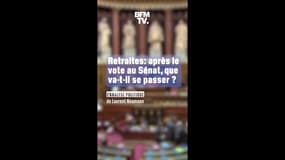 Retraites: après le vote au Sénat, que va-t-il se passer ?