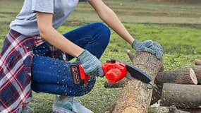 Cette mini tronçonneuse est parfaite pour entretenir votre jardin, découvrez son prix attractif