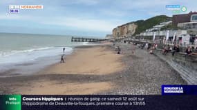 Seine-Maritime: la baignade de nouveau autorisée sur les plages de Veules-les-Roses et Saint-Valery-en-Caux 