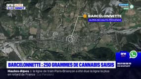 Barcelonnette: une jeune automobiliste interpellée en possession de 250g de cannabis
