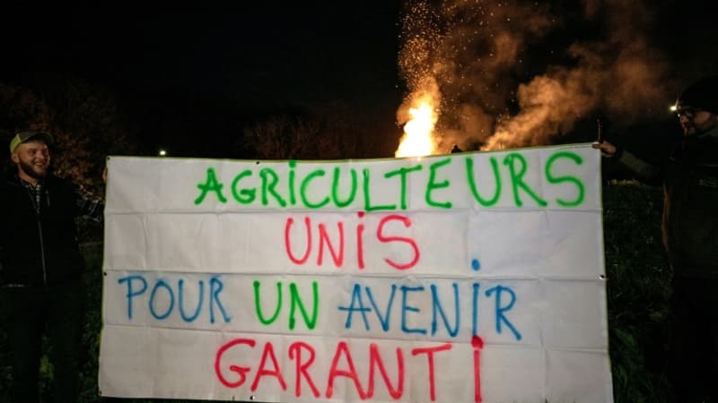 Avec le Mercosur, le monde agricole se déchire encore sur les normes