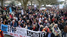 Manifestants contre le gaz de schiste le 28 février 2016 à Barjac (Gard)