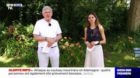 Jardins, parcs, sous-bois, prairies... gare aux tiques dans les herbes hautes cet été
