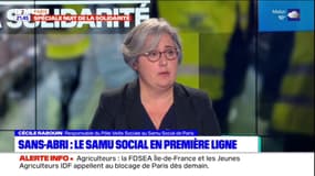 Sans-abri à Paris: le Samu social en première ligne