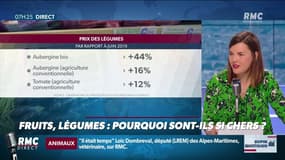 Le prix des fruits et légumes est à la hausse… pourquoi sont-ils aussi chers ?