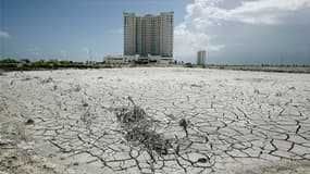 Mangrove asséchée près de Cancun, au Mexique. Les Etats-Unis se sont voulus optimistes lundi à l'ouverture de la conférence sur le climat qui se tient dans la station balnéaire mexicaine, assurant avoir progressé sur ce dossier avec la Chine au cours des