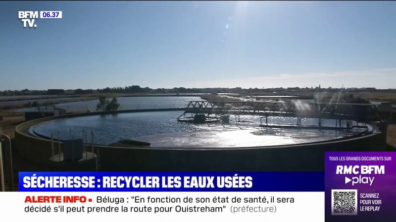 Sécheresse: comment l'île de Noirmoutier recycle ses eaux usées pour irriguer ses cultures