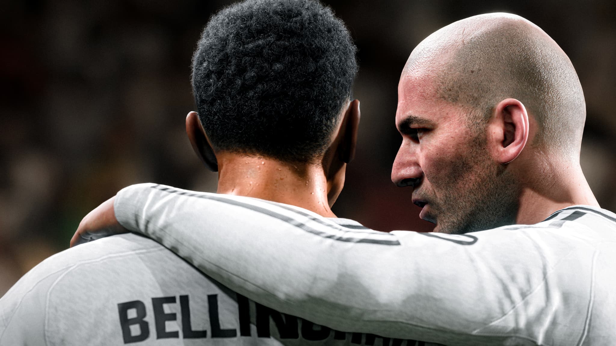 Illustrations du jeu FC 25