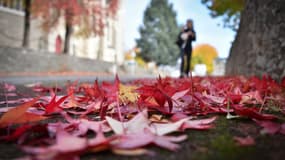 Des feuilles mortes devant l'église Sainte-Bernadette à Orvault, en Loire-Atlantique, le 18 octobre 2022