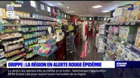 Hauts-de-France: alerte rouge pour des épidémies de grippe et bronchiolite