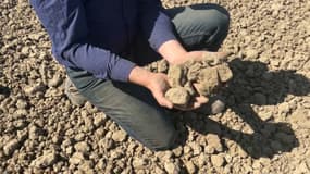 Le mois de mars a été historiquement sec dans le Pas-de-Calais