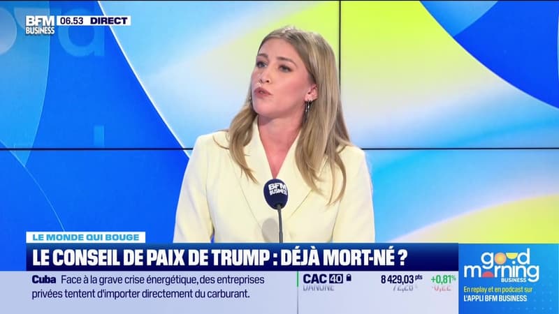 Annalisa Cappellini : Le Conseil de paix de Trump, déjà mort-né ? - 19/02