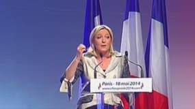 Marine Le Pen s'est livrée à un discours très virulent à l'encontre de Bruxelles, dimanche, à l'occasion du meeting du candidat FN  en Ile-de-France.