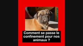 RMC Mobilisation générale du jeudi 26 mars - le programme