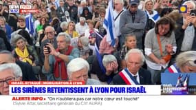 Rassemblement pour Israël à Lyon: les sirènes d'alerte retentissent place Bellecour