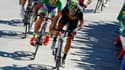 Alejandro Valverde remporte la 4e étape de la Vuelta 2015
